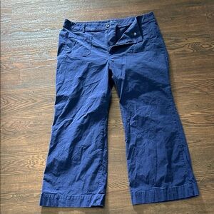 J. Crew Women's Navy Wide-Leg Pants